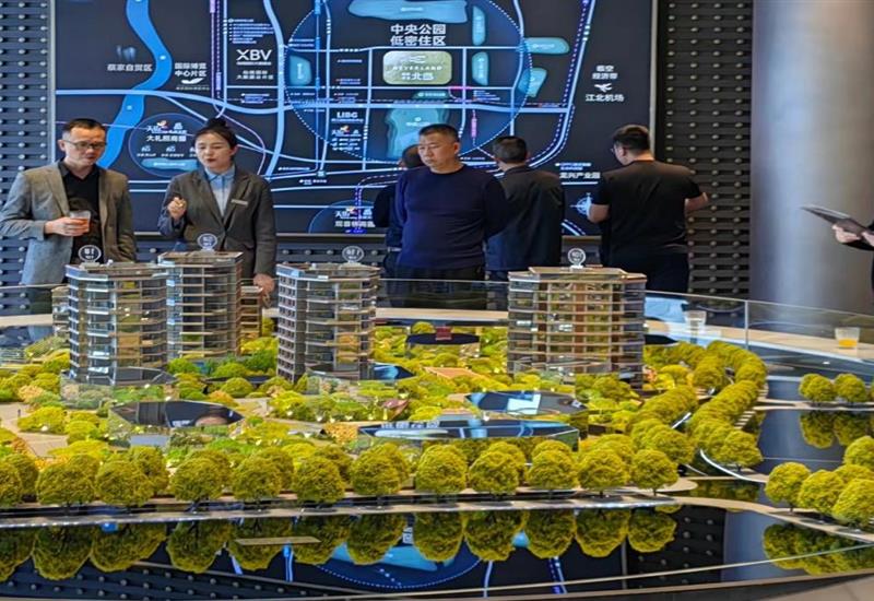 008PG国际房产与合力公司赴重庆发展项目产品定位调查调研 (2)_800-550