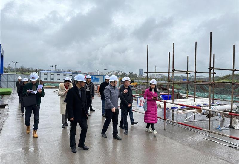 市、区水务局赴008PG国际·天空的院子项目发展示场领导工作 (2)_800-550